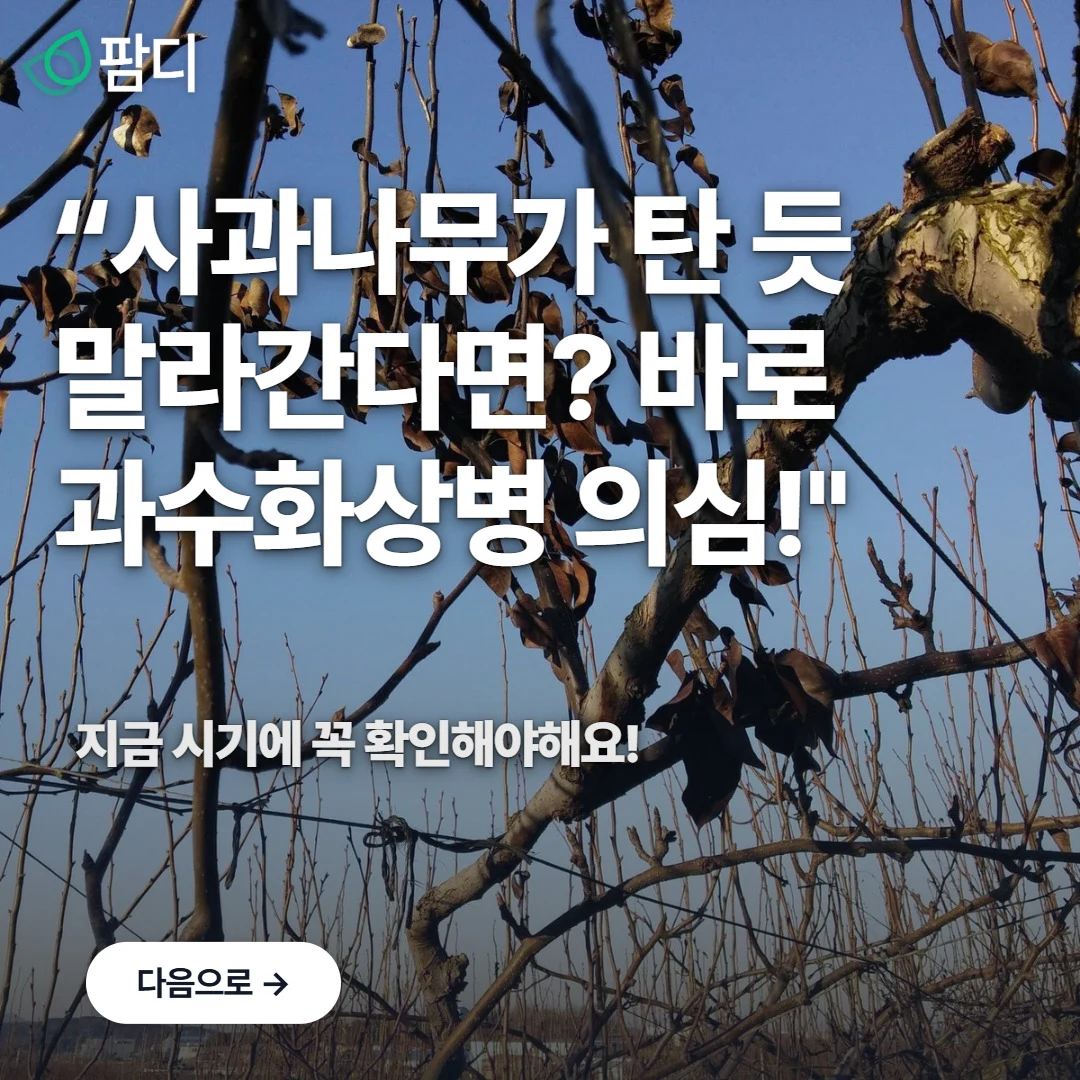 SNS 게시글